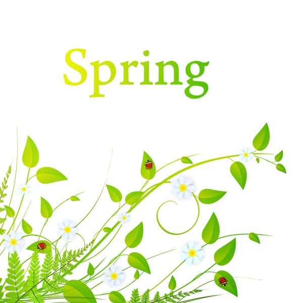 Moldura floral primavera —  Vetores de Stock