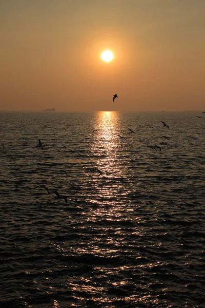 Abendsonne und Meer — Stockfoto