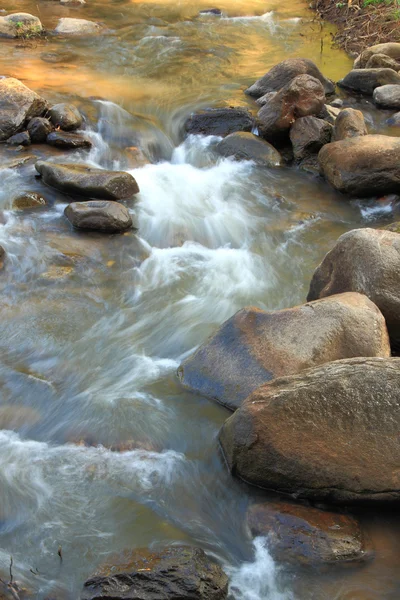 Kleiner Wasserdurchfluss im Wald — Stockfoto