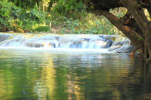 Piccola cascata d'acqua nella foresta . — Foto Stock