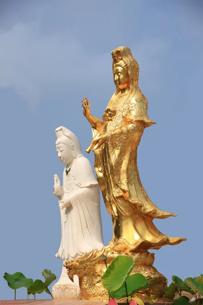 stock image Golden and white of goddess of mercy