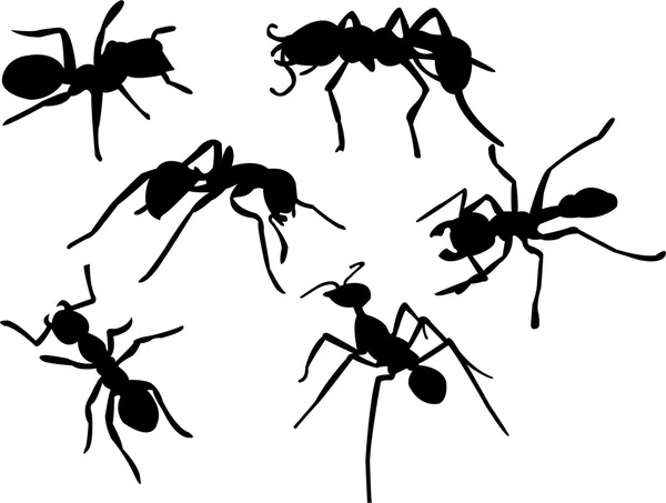 Karınca — Stok Vektör