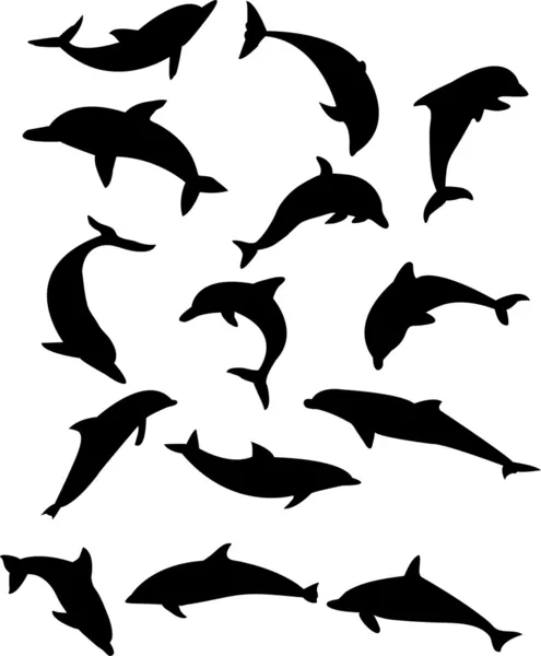 Dolfijnen — Stockvector