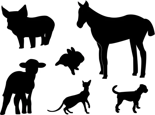 Zvířata — Stockový vektor