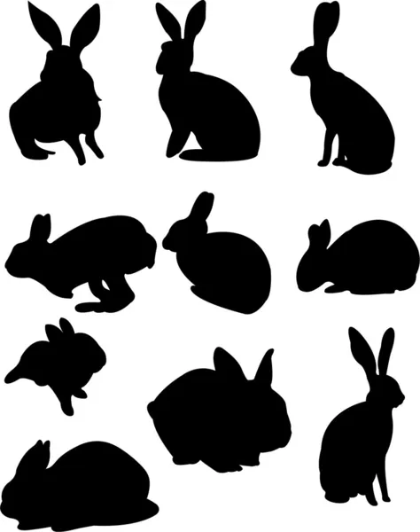 stock vector Rabbit