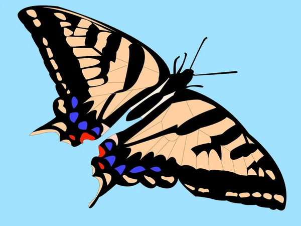 Метелик — стоковий вектор