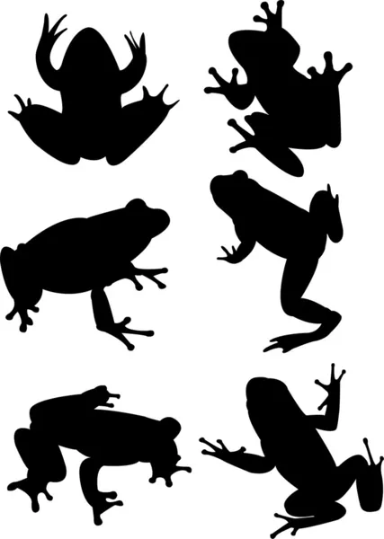 Żaby — Wektor stockowy