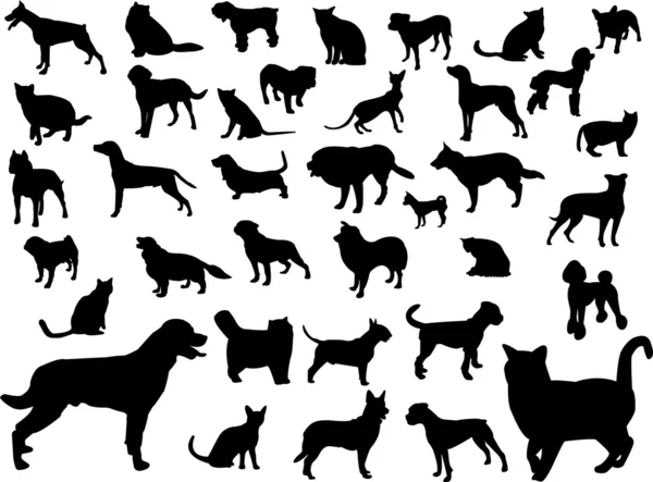 Gatti e cani — Vettoriale Stock
