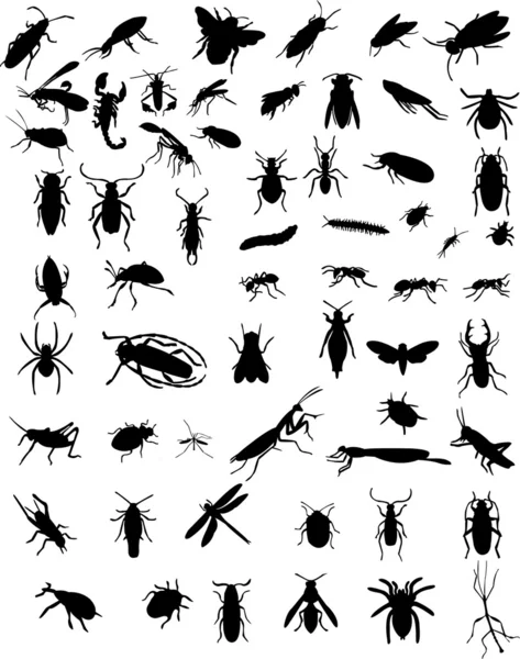 Insekter — Stock vektor