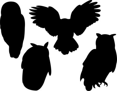 Owl clipart