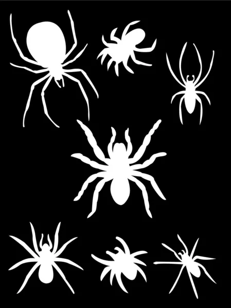 Weiße Spinne — Stockvektor