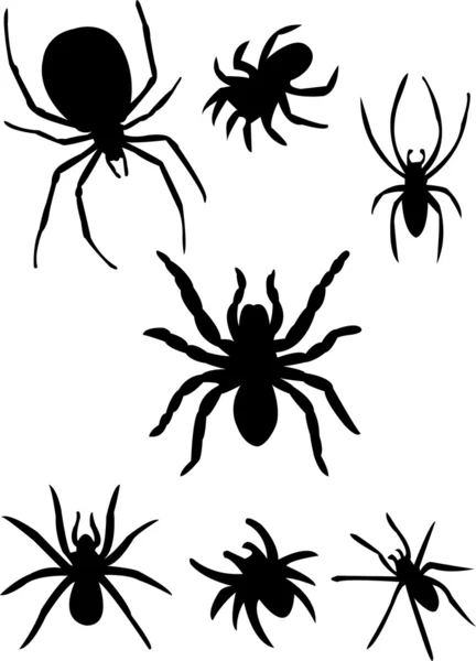 Павуки — стоковий вектор