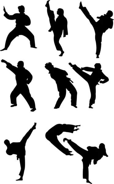 Taekwondo — Image vectorielle