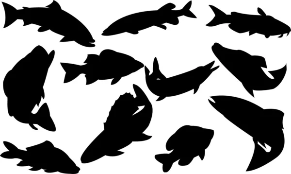 Peixes — Vetor de Stock