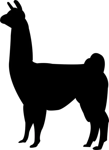 Lama. Ilustración de stock
