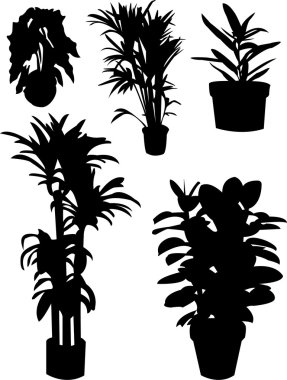 Flowers clipart