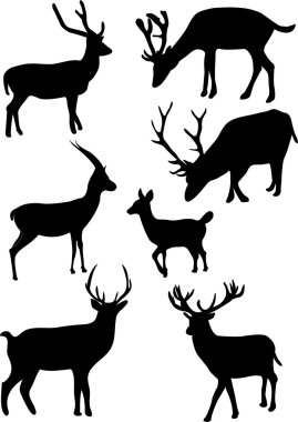 Deers clipart