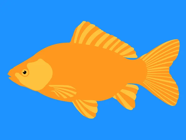 金の魚 — ストックベクタ