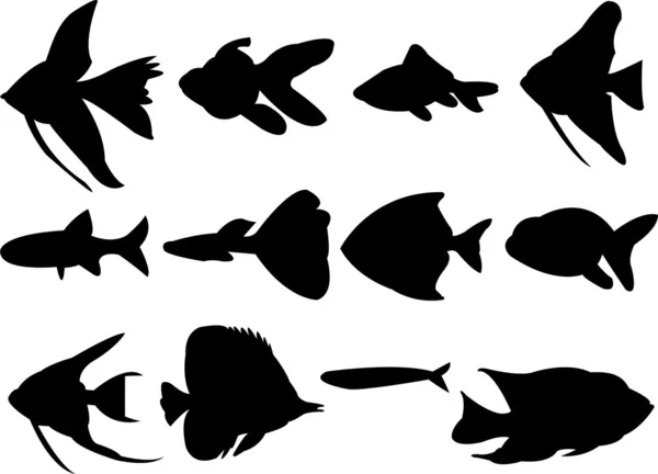 Poissons d'aquarium — Image vectorielle