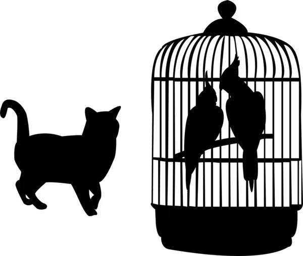 Papoušci a kočka — Stockový vektor