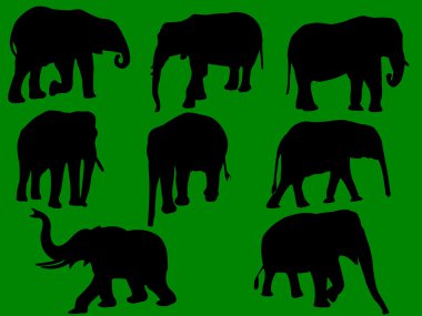 Elephants clipart