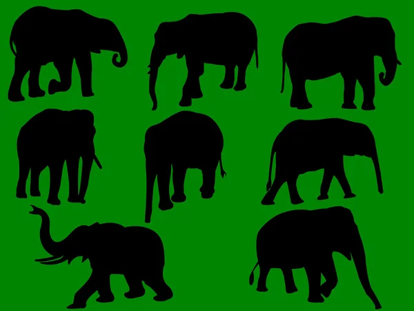 Elefanti — Vettoriale Stock