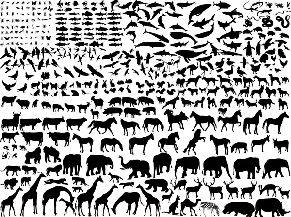 Différents animaux — Image vectorielle