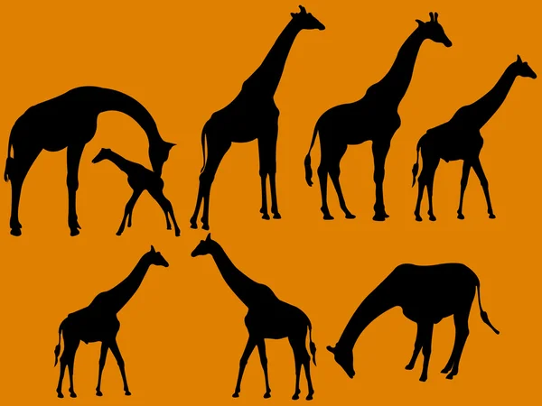 Žirafa Stock Ilustrace