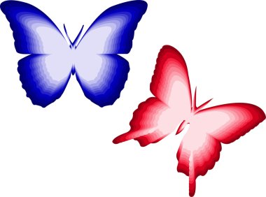 Butterfly clipart