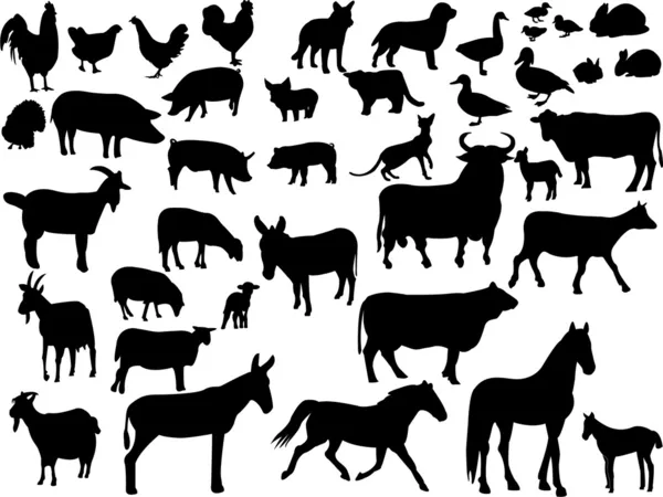 Zvířata — Stockový vektor