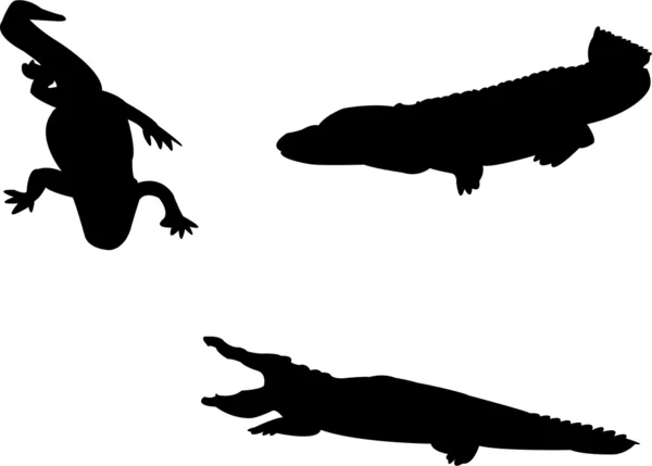 Krokodiler — Stock vektor