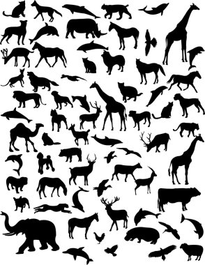 Collection of 68 animals - vector clipart