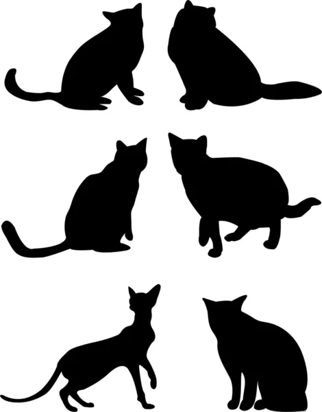 Kočičí Silueta Vektor — Stockový vektor