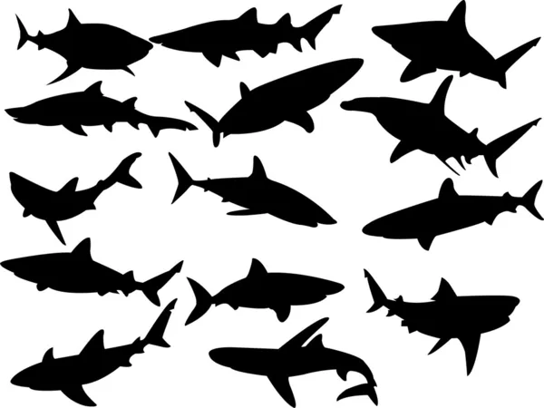 Kolekce Žraloků Siluety Vektor — Stockový vektor