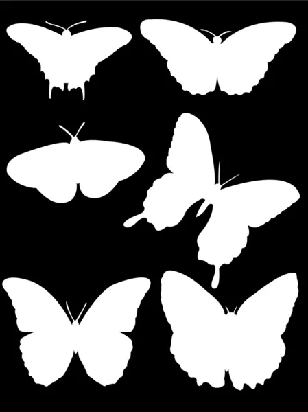 Beyaz kelebek — Stok Vektör