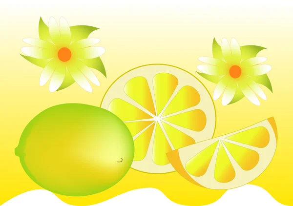 Limon — Stok Vektör