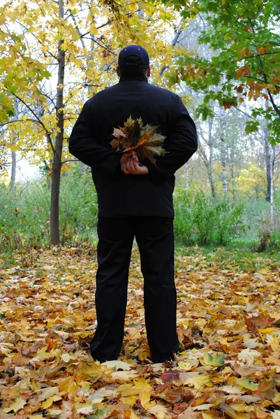 stock image Man with maple leaves bouquet