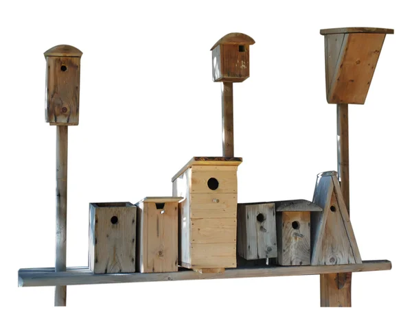 Set van houten starling-huizen geïsoleerd — Stockfoto
