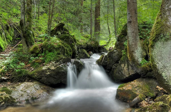 stock image Waterfall in the national park Ceahlau