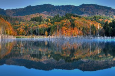 Beautiful autumn lake view clipart