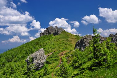 Dağ manzarası