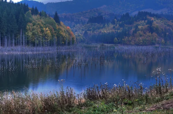 Krásné podzimní pohled na jezero — Stock fotografie