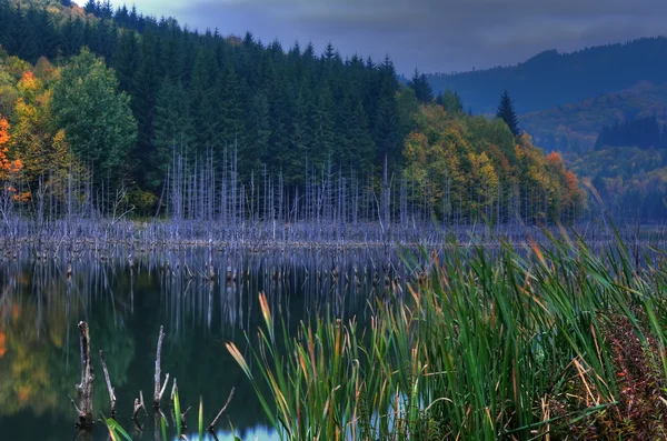 Piękny widok na jezioro jesień — Zdjęcie stockowe