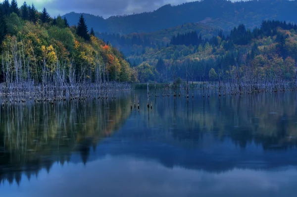美しい秋の湖のビュー — ストック写真