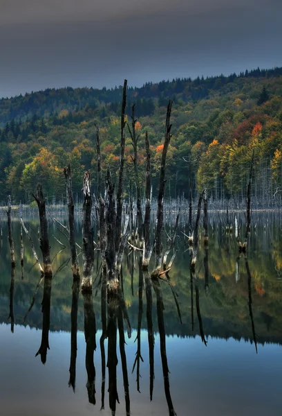 Όμορφο φθινόπωρο θέα στη λίμνη — Φωτογραφία Αρχείου