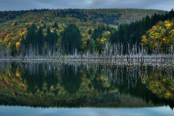Schöner Herbstblick auf den See — Stockfoto