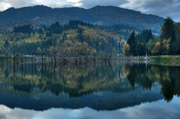 Прекрасний осінній вид на озеро — стокове фото