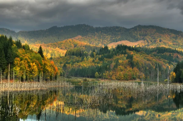 Belle vue sur le lac d'automne — Photo