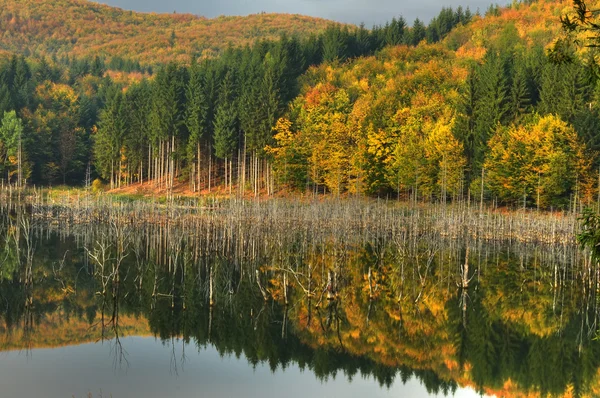 Güzel sonbahar Göl Manzaralı — Stok fotoğraf
