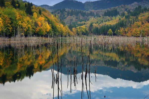 Belle vue sur le lac d'automne — Photo